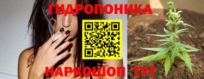 mdpv Краснознаменск