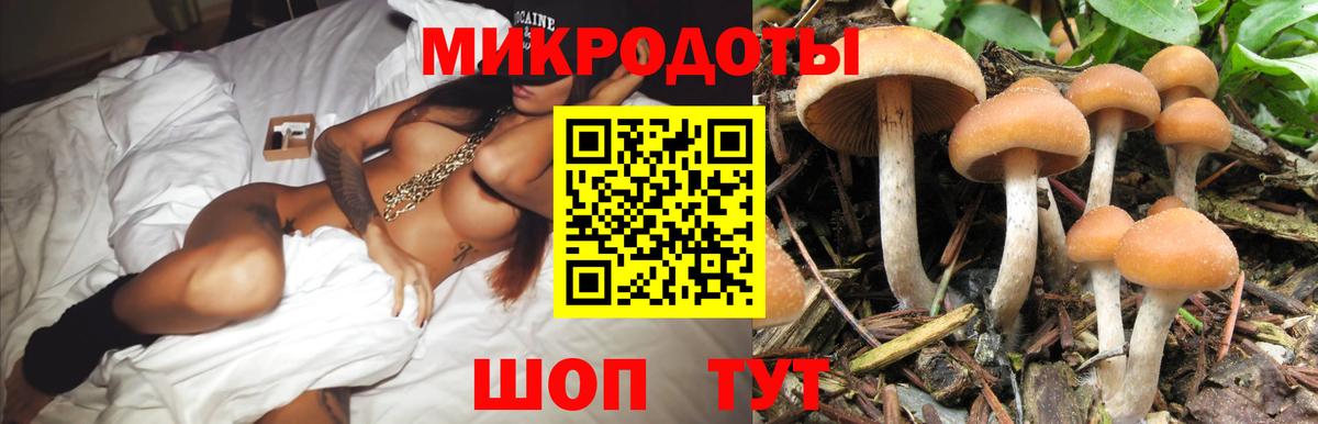 где купить наркоту  Вход с VPN  Галлюциногенные грибы Magic Shrooms  Ивантеевка  Галлюциногенные грибы ЛСД 