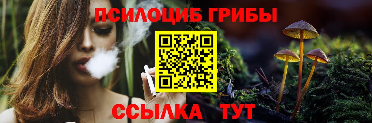 Псилоцибиновые грибы GOLDEN TEACHER Ивантеевка